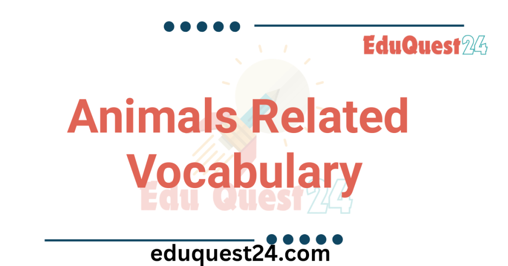 Animals Related Vocabulary